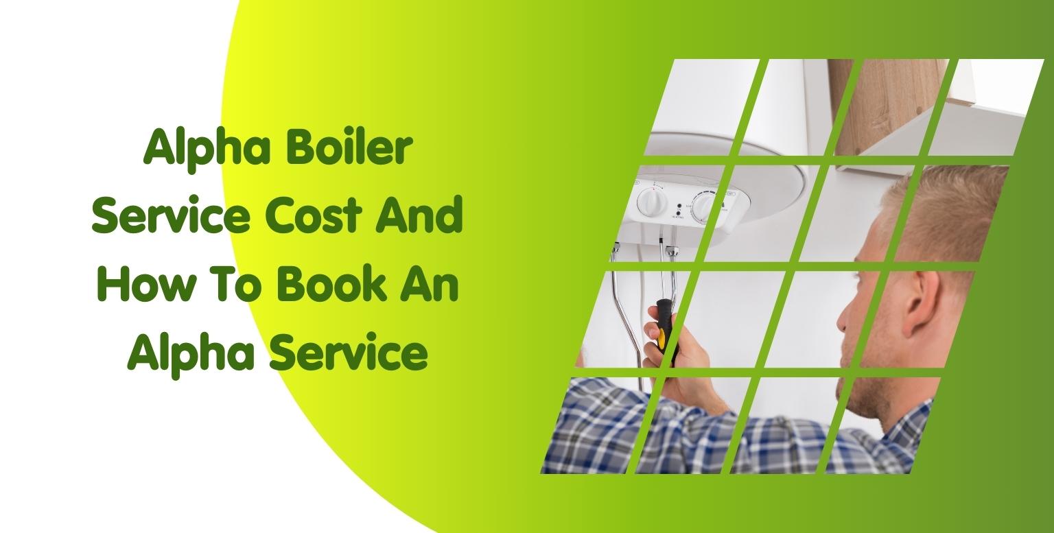 Alpha Boiler Service Cost And How To Book An Alpha Service