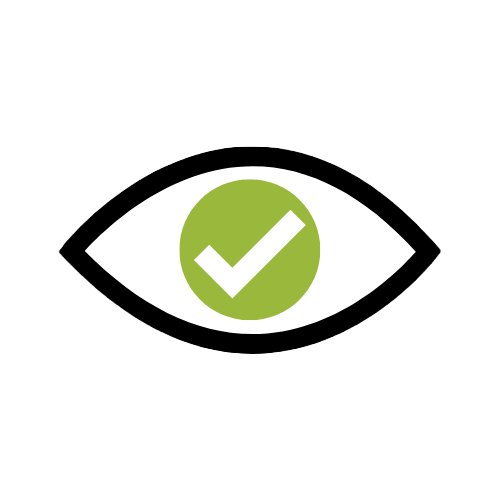 visual inspection